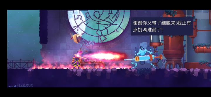 白王喝喝水就到手了截图