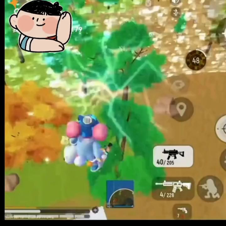 video-2305654