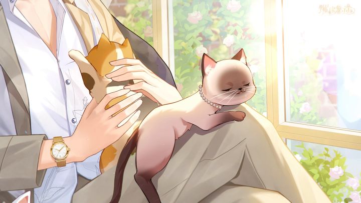 艺人新颜|陆唯:猫奴十级的影帝日常截图