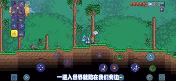 《泰拉瑞亚》国服1.4全NPC入驻教程（肉前篇）