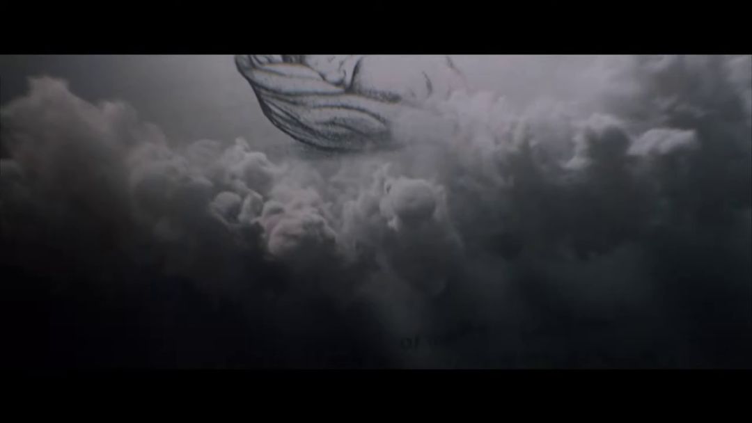 video-2307413