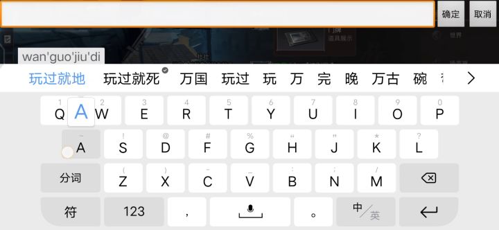 敏感字符截图