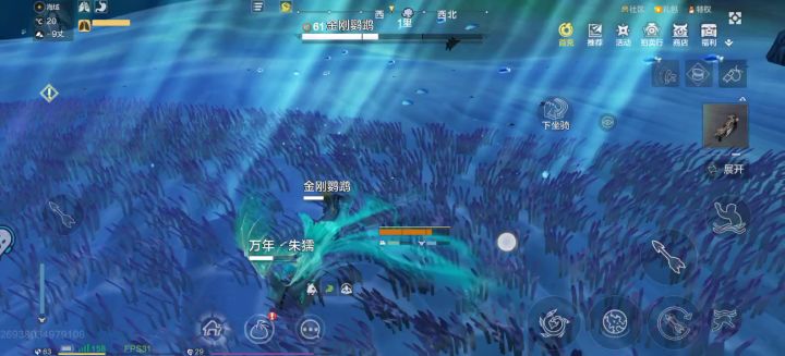 这是一只还没反应过来自己已经上岸了的鹦鹉截图