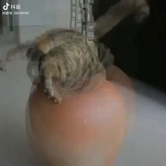 hhjh截图