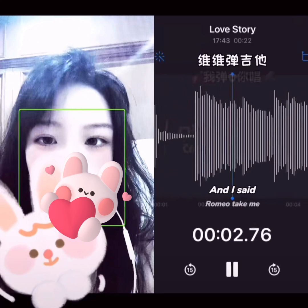 video-2313296