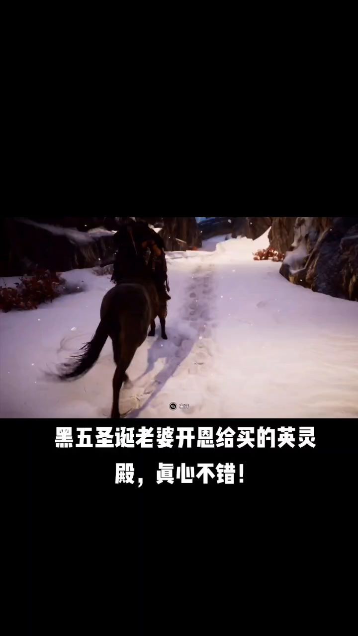 老婆开恩,黑五圣诞打折优惠,英灵殿,我终于玩到了!截图