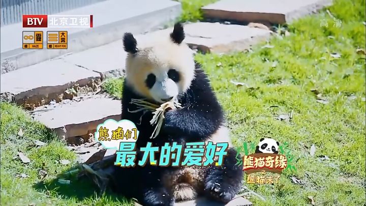 我想发一个视频看看 1截图