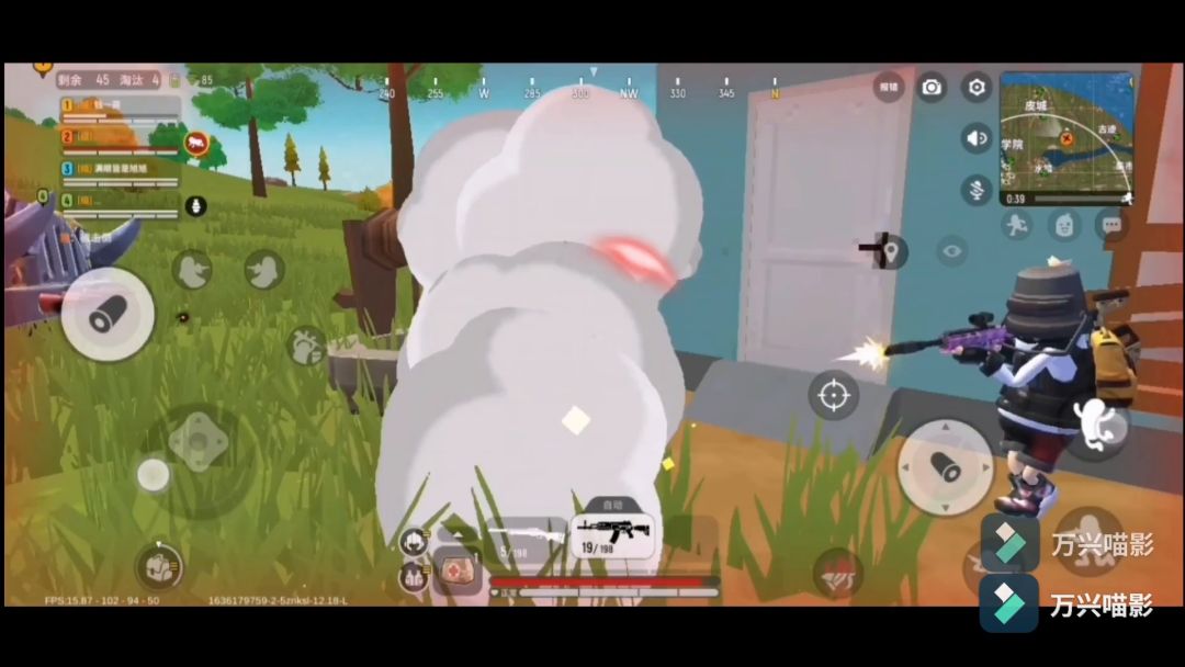 video-2317929