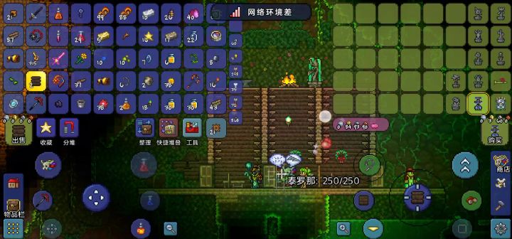 为什么建造不了森林塔截图