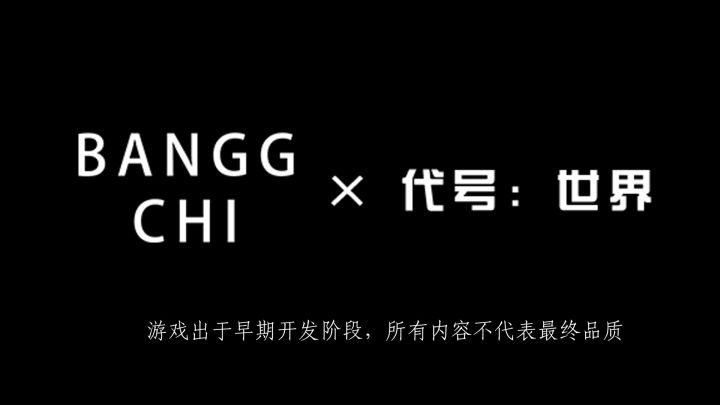 周日特别汇报截图