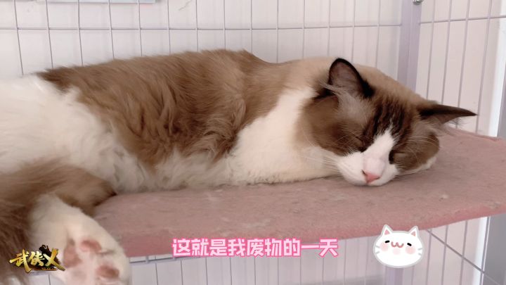 【洛音闲聊】「三点钟，武侠乂先」截图
