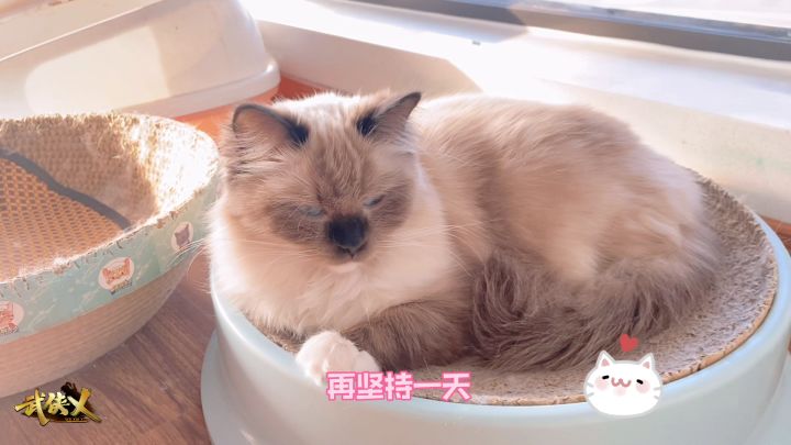 【洛音闲聊】「三点钟,武侠乂先」截图
