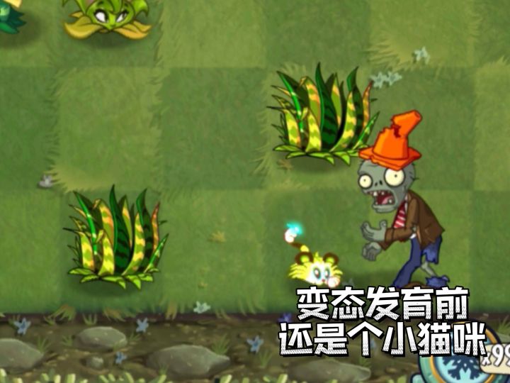 关于植物的变态发育截图