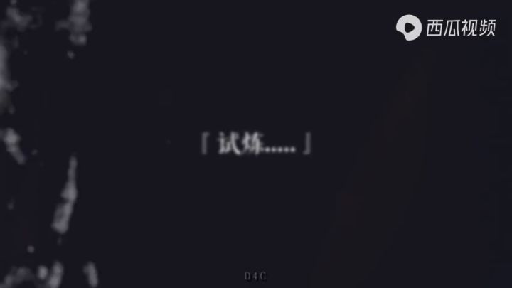 D4C截图