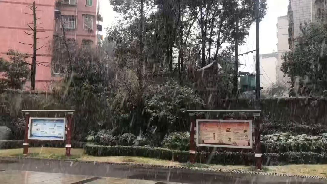 video-2334088