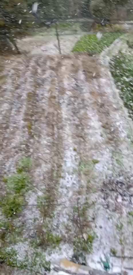 南方的第一场雪 ！截图