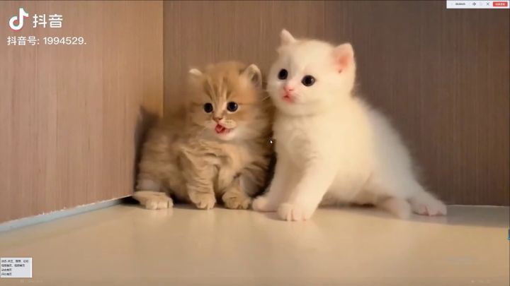https://www.baidu.com/    空  格截图