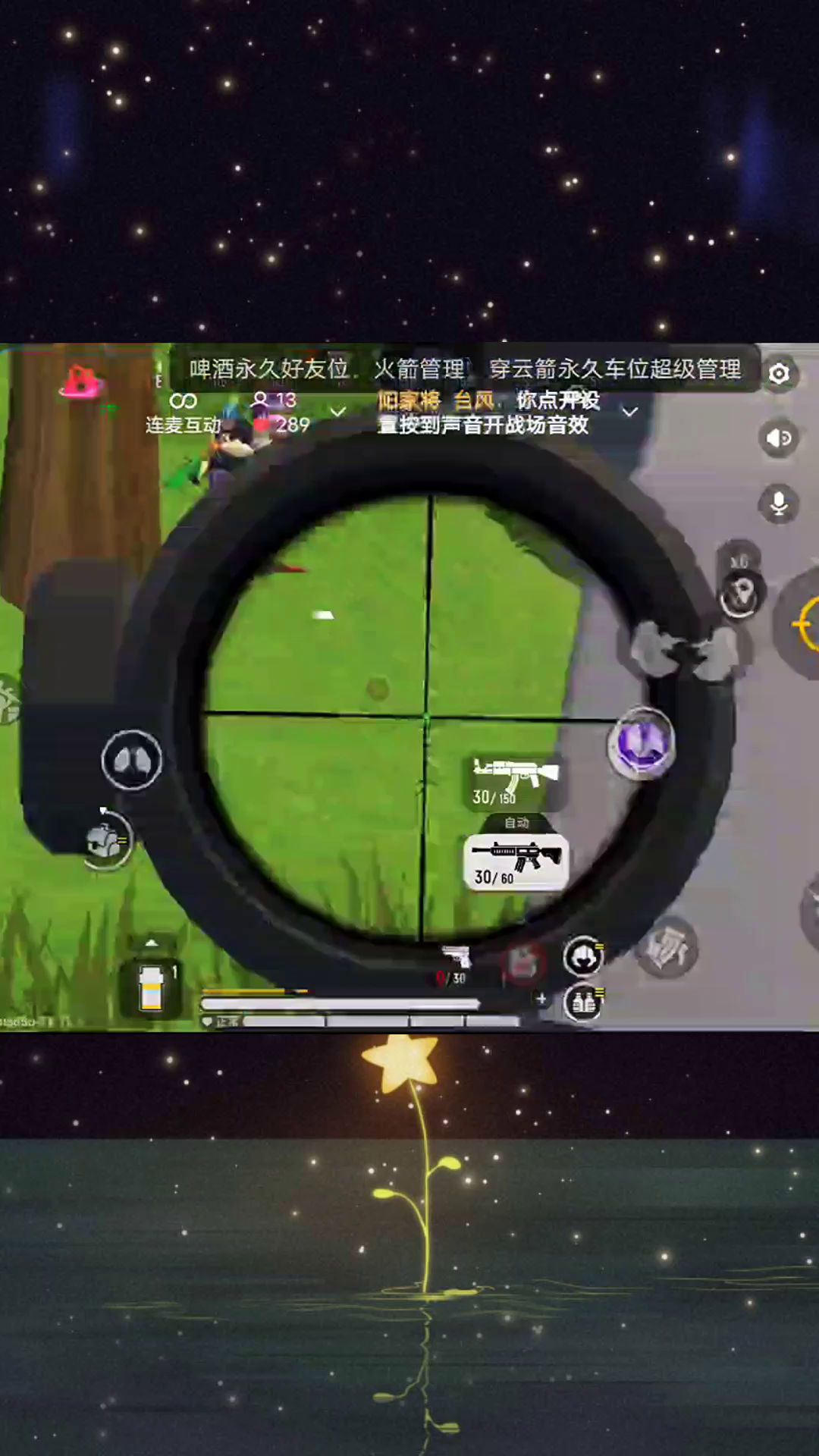 video-2336328
