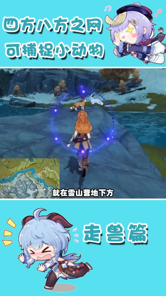 四方八方之网可捕捉小动物 走兽篇截图