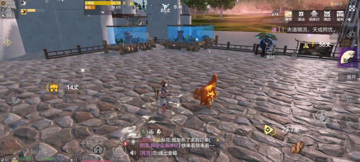 会下蛋的大公鸡截图