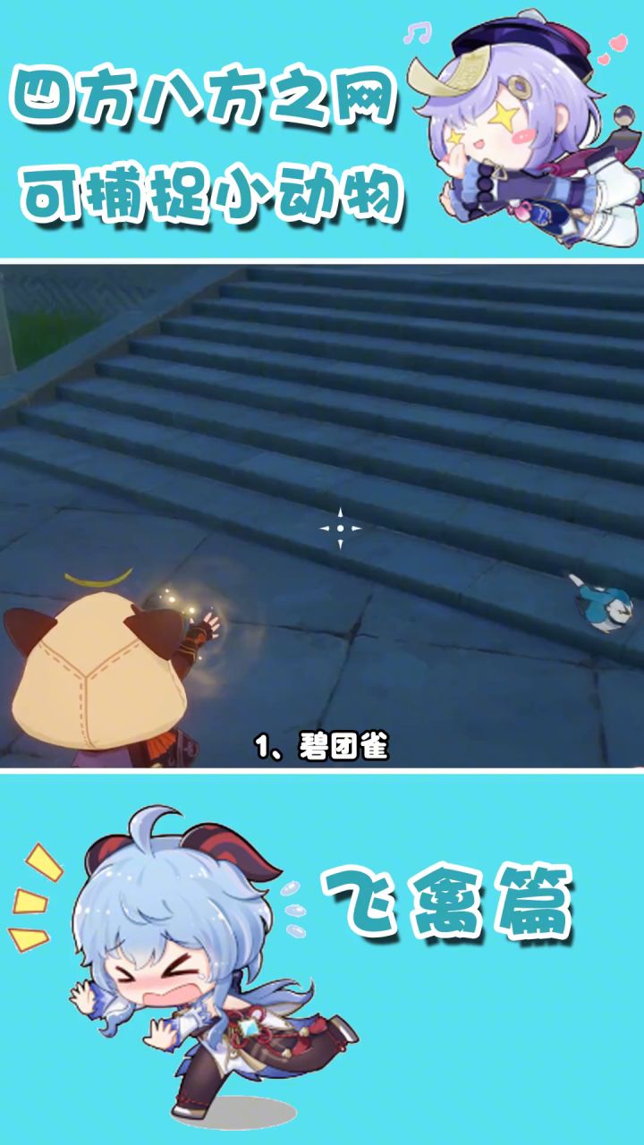 四方八方之网可捕捉小动物飞禽篇截图