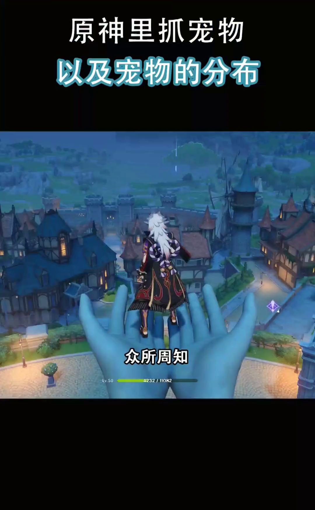 video-2351505