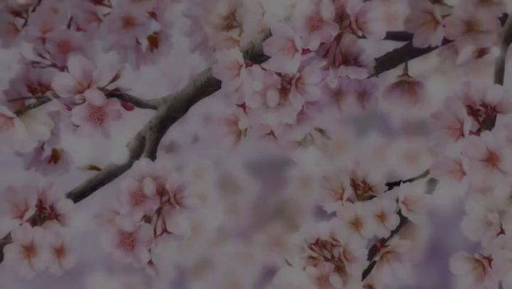 一入东方深似海，从此节操是路人截图