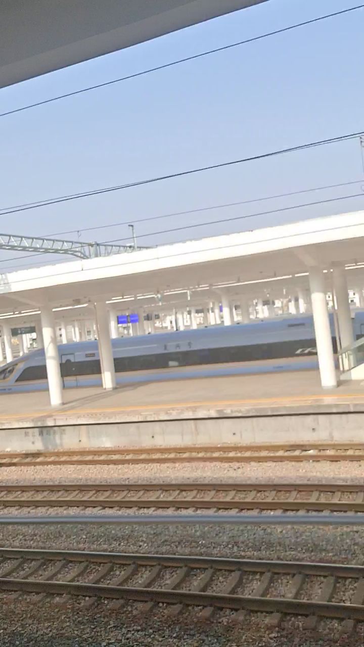 上海牌店真多截图