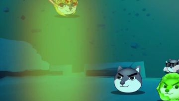 快来围观狗头村期末测试