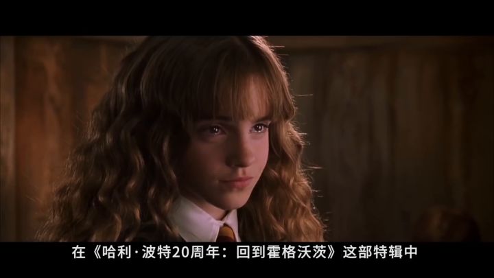 《哈利·波特20周年 回到霍格沃茨》评测截图