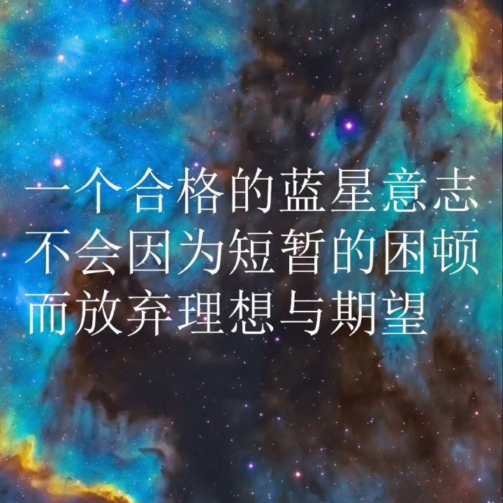 逐光中那些映像深刻的句子截图