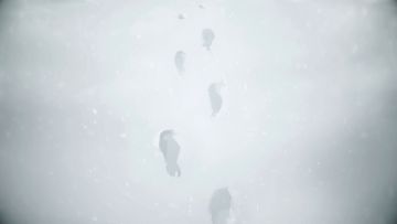 书院见闻 | 燃灯守岁主题活动PV：雪映灯燃，盛世同安