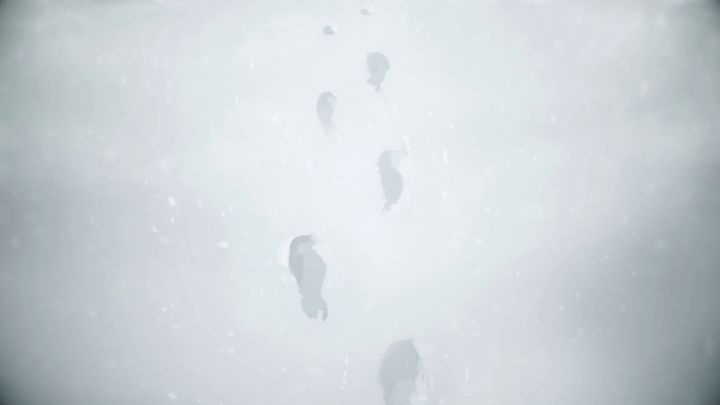 书院见闻 | 燃灯守岁主题活动PV：雪映灯燃，盛世同安截图