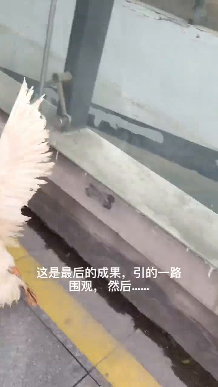 快过年了,送大家一个包装方法截图