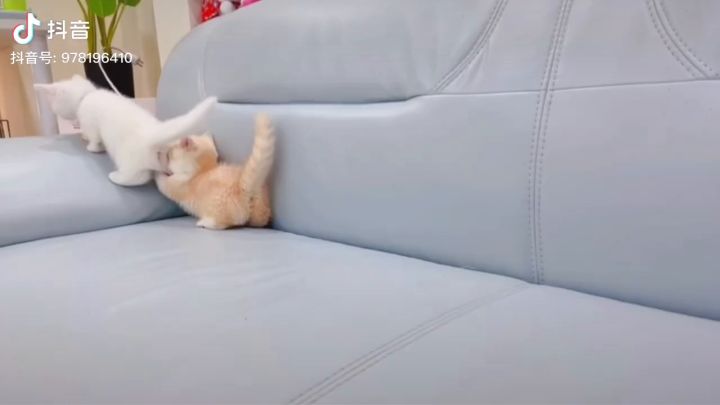 渠道服疯人院截图