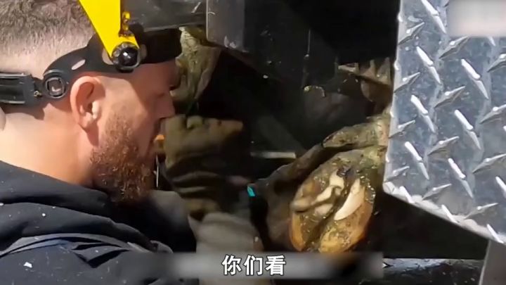 等了半天的师傅开始点起了进度条截图
