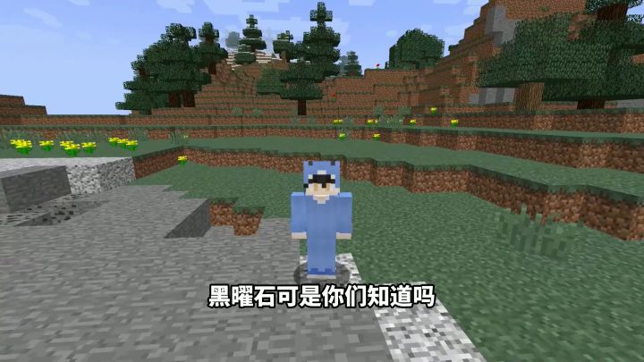 我的世界的镐子内卷了截图