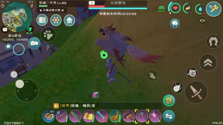 今天维护偶遇云斑鹦鸟截图