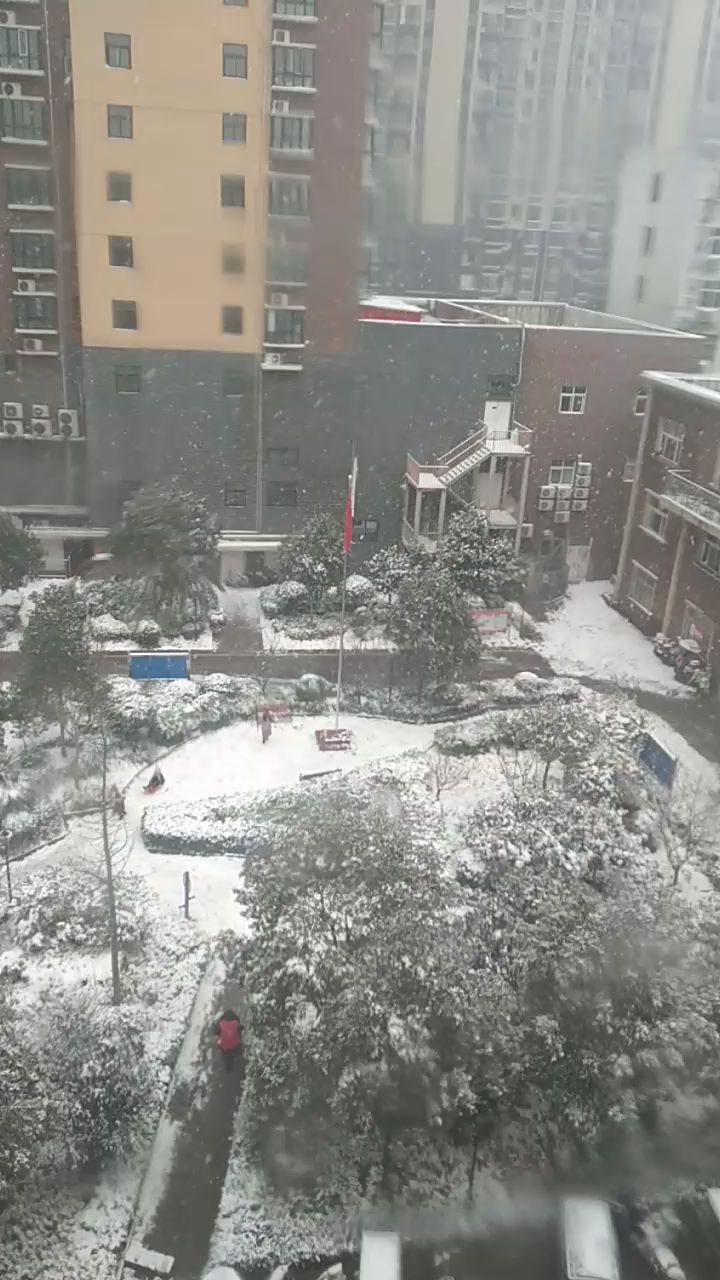 河南持续大规模降雪截图