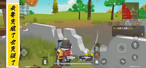 video-2388561