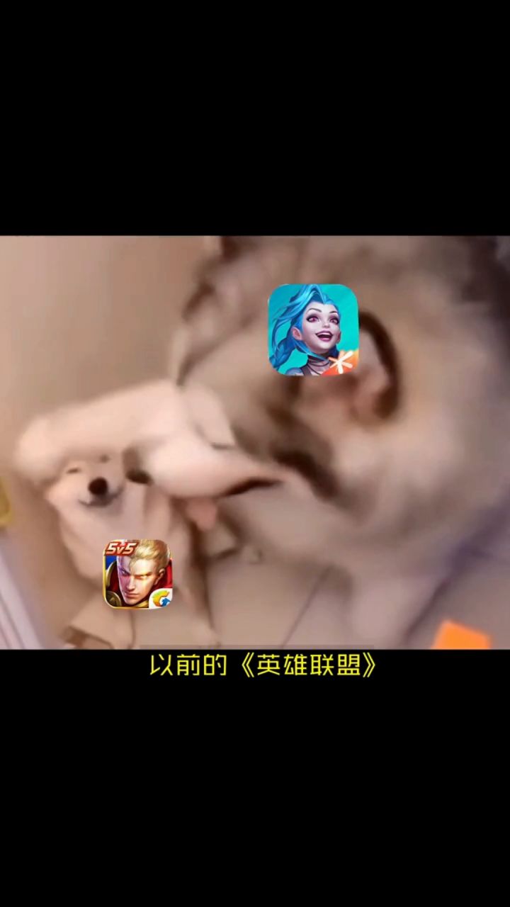 一个运营干凉一款游戏,真棒!截图
