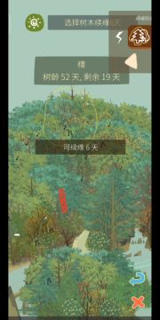 五百多棵续缘是这样的……