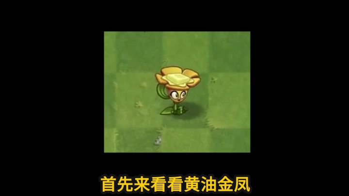 Pvz2新植物试玩,黄油金凤和西兰花你更看好谁?截图