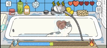 猫咪洗澡的技巧嗷！！！