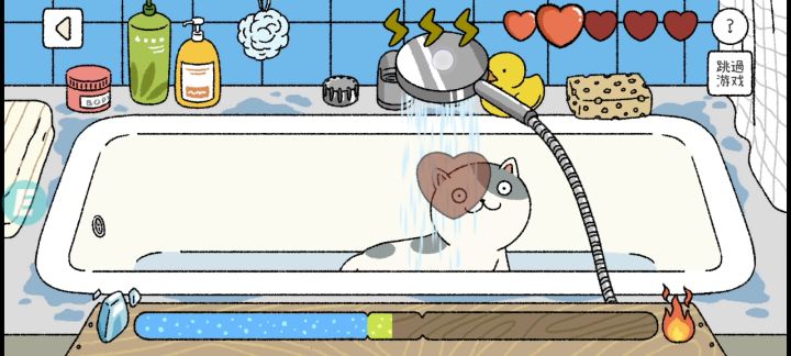猫咪洗澡的技巧嗷!!!截图