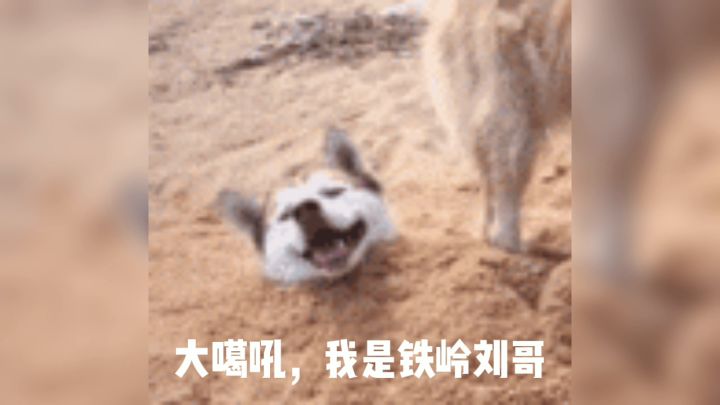 【农机知识】咱农场居然也搞电竞?真相居然是...截图
