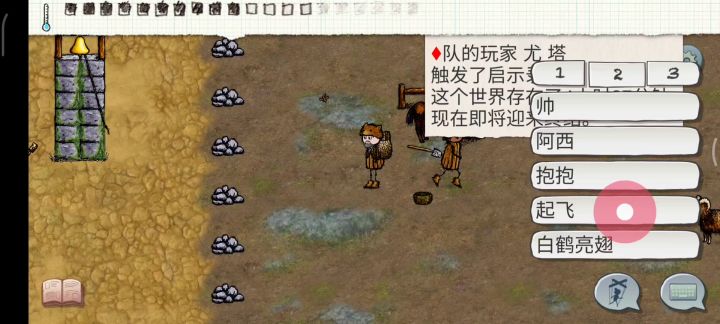 芜湖，双人通关截图