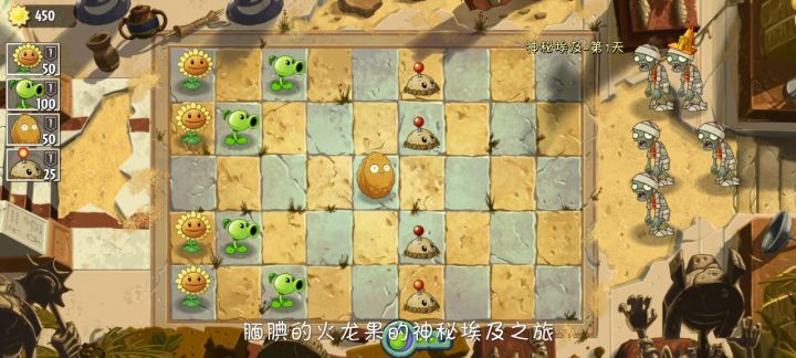 玩植物大战僵尸的第一天截图