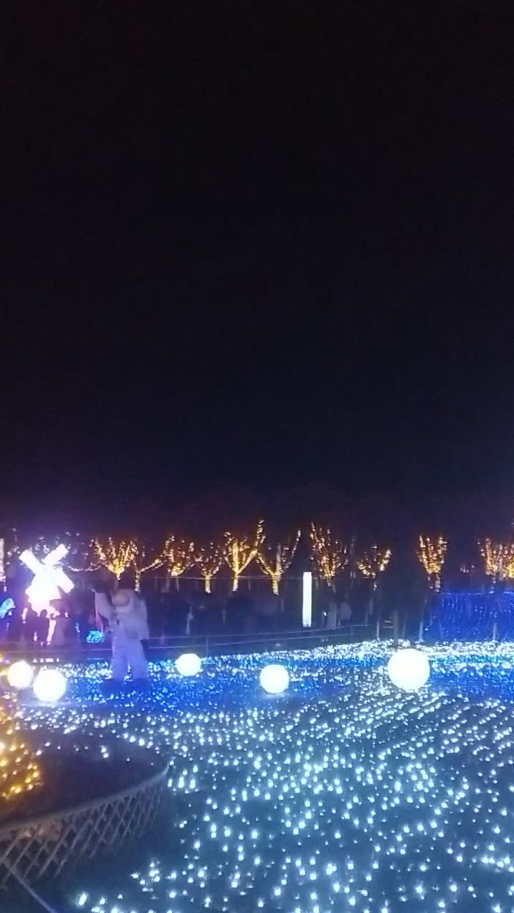 春节  快乐分享 好久都没有看过这么漂亮的烟花了  祝大家新年快乐。截图