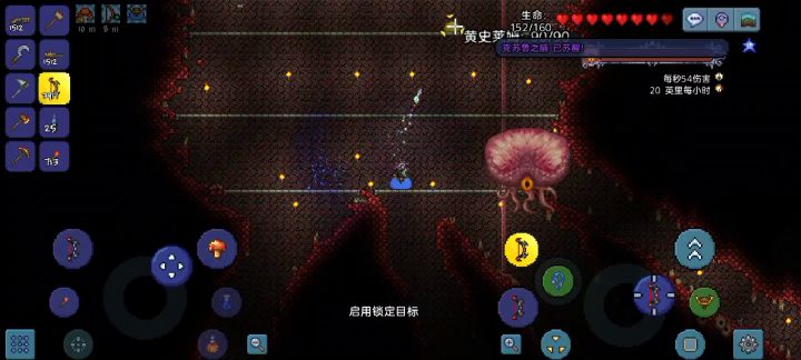 纯游侠生存-第五期 Boss克苏鲁之脑 1截图